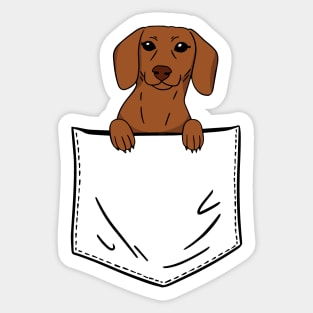 Pocket Dachshund Sticker